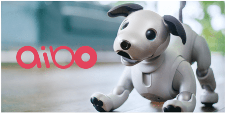 ソニーが新「aibo（アイボ）」を発売、予約は今夜11時頃から 人工知能で動く犬型ロボット
